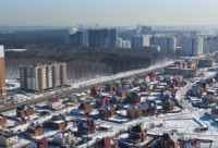 «Атомстройкомплекс» выкупит берёзовую рощу в Краснолесье.