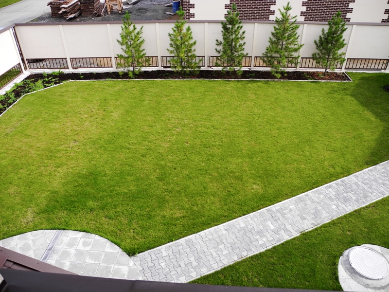 ��� �� �������